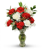 6-Red-and-6-white-Carnations-Vase