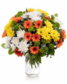 Bouquet of chrysanthemums and gerbera