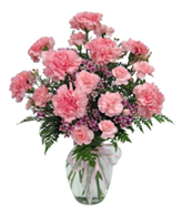 Cherish-with-Carnations