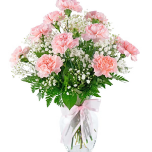 Pink-carnations-in-a-vase