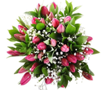 Pink Tulips with Gypsophila