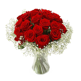 Red-roses-with-baby's-breath