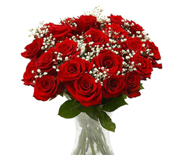 Red-roses-with-gypsophila