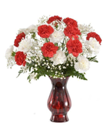 Red and White Carnations